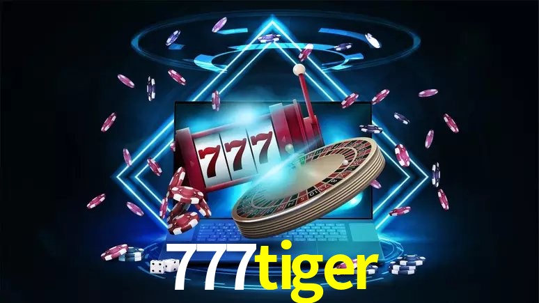 777tiger Salvador - Statistics